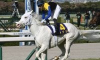 【桜花賞結果】ソダシがレコードで無傷5連勝！ 史上初、白毛馬のクラシック制覇！