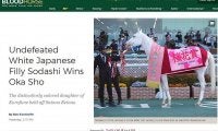 ソダシ、白毛馬初のクラシック制覇に海外記者注目「信じられない！」「夢のような馬」