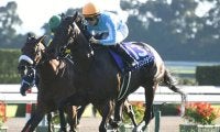 【香港チャンピオンズデー】2競走の勝馬投票券発売が決定　デアリングタクトなどが出走予定
