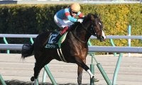 【アーリントンC出走馬決定順】フルゲート18頭に19頭の登録