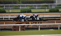 ミスニューヨーク、福島牝馬S1週前追い切り速報/栗東トレセンニュース