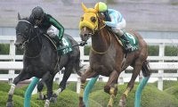 【アンタレスS予想オッズ】アナザートゥルースが想定では1番人気に！