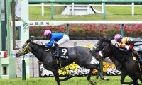 【山藤賞】4番人気 プレイイットサムが2連勝