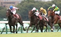 リオンリオンが競走馬登録抹消
