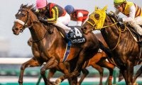 【福島牝馬S展望】今年は新潟で行われる牝馬限定戦、あの馬に期待
