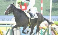 【福島牝馬Ｓ出走馬決定順】フルゲート16頭に19頭の登録