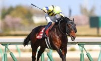 【マイラーズＣ出走馬決定順】フルゲート18頭に17頭の登録