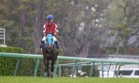 JGI・7勝のオジュウチョウサンが左前脚第1指骨骨折、手術へ