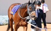 【次走】皐月賞4着のアドマイヤハダルは日本ダービーへ