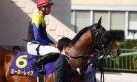 【次走】皐月賞5着のヨーホーレイクは日本ダービーへ