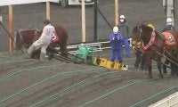 ばんえい競馬で騎手が「馬の顔蹴る」動画が問題