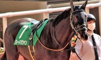 【次走】毎日杯2着グレートマジシャンは日本ダービーへ