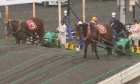 ばんえい競馬 馬の顔を蹴って抗議殺到 当該騎手は当面騎乗自粛を申し出