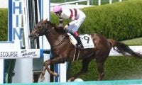 【阪神7R・4歳上1勝】単勝187.6倍ダディーズメジャーがV、9頭立て以下でJRA史上2位の高配当