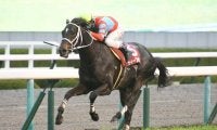 長距離GI天皇賞・春とダービーTR青葉賞/今週の競馬界の見どころ