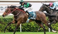 ラヴズオンリーユーの快走＆4着まで独占の日本馬に欧米メディア称賛「地元馬を圧倒」