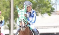 【地方競馬】金沢の池田敦騎手が地方通算600勝を達成