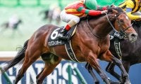 【青葉賞予想】過去10年で複勝率0!? キケンな人気馬はまさかの…/JRAレース展望 