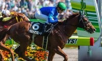 【先週のJRA抹消馬】18年メトロポリタンS覇者のベストアプローチ、19年水無月S覇者のウインストラグルなど