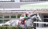 【京都ハイジャンプ予想オッズ】トラストが予想1番人気に