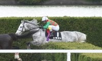 【京都ハイジャンプ出走馬・騎手確定】トラスト＆熊沢重文騎手、スマートアペックス＆中村将之騎手など11頭