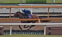 【京王杯SC出走馬・騎手確定】ラウダシオン＆M.デムーロ騎手、タイセイビジョン＆C.ルメール騎手など17頭