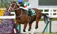 【WIN5予想】ヴィクトリアMは阪神牝馬S組と東京巧者が優勢/伊吹雅也