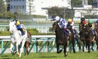白毛の桜花賞馬2冠なるか 牝馬クラシック第2戦オークス/今週の競馬界の見どころ