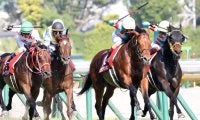 【京王杯SC】ラウダシオンが重賞2勝目
