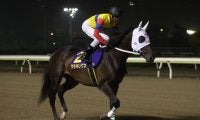 【門別競馬情報】“ぶっつけ”の北斗盃H2制覇で三冠へ視界良好かラッキードリーム！今夜メインは重賞3着クラキングスらに注目「アドマイヤムーン賞」/地方競馬情報