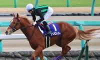 【JRA】バビットが右前浅屈腱炎で全治9ヶ月以上　昨年のセントライト記念など重賞2勝