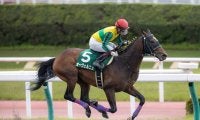 【平安S】オーヴェルニュが6馬身差V！レコードで快勝