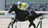 【先週のJRA抹消馬】名牝・ウオッカの仔タニノフランケル、パラダイスS覇者のショウナンライズなど