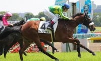 サトノレイナス、日本ダービーの勝算は？　国枝栄調教師にズバリ手応えを聞いた