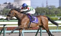 白熱の日本ダービーを読み解く「３歳牡馬番付」。今年はどんな快挙が？