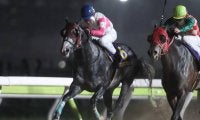 【門別競馬情報】「門別デビュー馬V」なるかJRAリュウノユキナ！前年覇者メイショウアイアンを筆頭に、レベル上がった地元勢も好勝負へ「第25回北海道スプリントカップJpnIII」/地方競馬情報