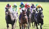 【日本ダービー】出走馬の調教後の馬体重