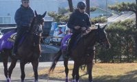 【日本ダービー】ヨーホーレイク友道師「東京の2400メートルが一番合っている」/ねぇさんのトレセン密着