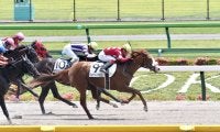 【東京5R】4番人気 ジョディーズマロンが2勝目