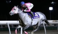 【門別競馬情報】門別全勝の王者クインズサターン、重賞2連勝へ驀進！リンノレジェンドらの巻き返しにも注目「第58回赤レンガ記念H2」/地方競馬情報