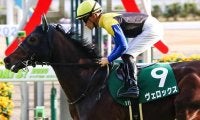 【エプソムC想定】3歳時クラシック戦線で活躍のヴェロックス、サトノフラッグ、ガロアクリークなど