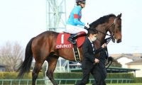 安田記念は人気落ちＧＩ馬と上がり馬がオイシイ配当を運んできてくれる