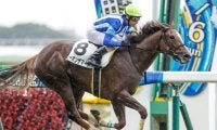 【東京6R新馬戦結果】ビーオンザマーチが抜け出し新馬勝ち