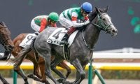 【東京5R新馬戦結果】2番人気クレイドルが初陣飾る