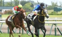 【中京5R新馬戦結果】ブレスレスリーが逃げ切りV　新種牡馬アメリカンペイトリオット産駒
