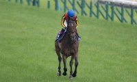 【安田記念】ルメール「苦しそうだった」レース後ジョッキーコメント