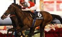 【先週のJRA抹消馬】18年クリスマスCを制したスワーヴアーサー、マヤノトップガン産駒のオーシャンビューなど