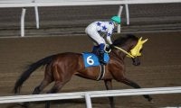 【門別競馬情報】JRA北海道シリーズも始まる中、絶好調つづくホッカイドウ競馬。今週ラスト開催のメイン12Rは「ウインブライト賞」/地方競馬情報