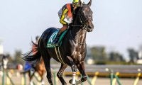 【JRA】グロンディオーズが骨折、全治3ヶ月以上　今年のダイヤモンドS覇者