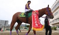 【帝王賞】南関東の選定馬発表　カジノフォンテン、ミューチャリー、ノンコノユメなど